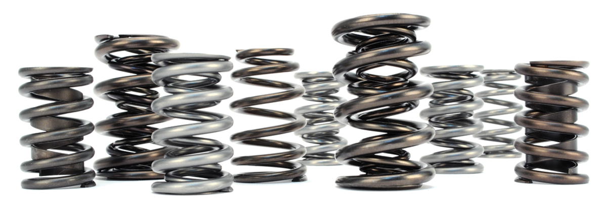 many types of valvesprings