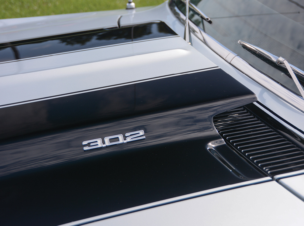 Close up of black stripes on hood cowl