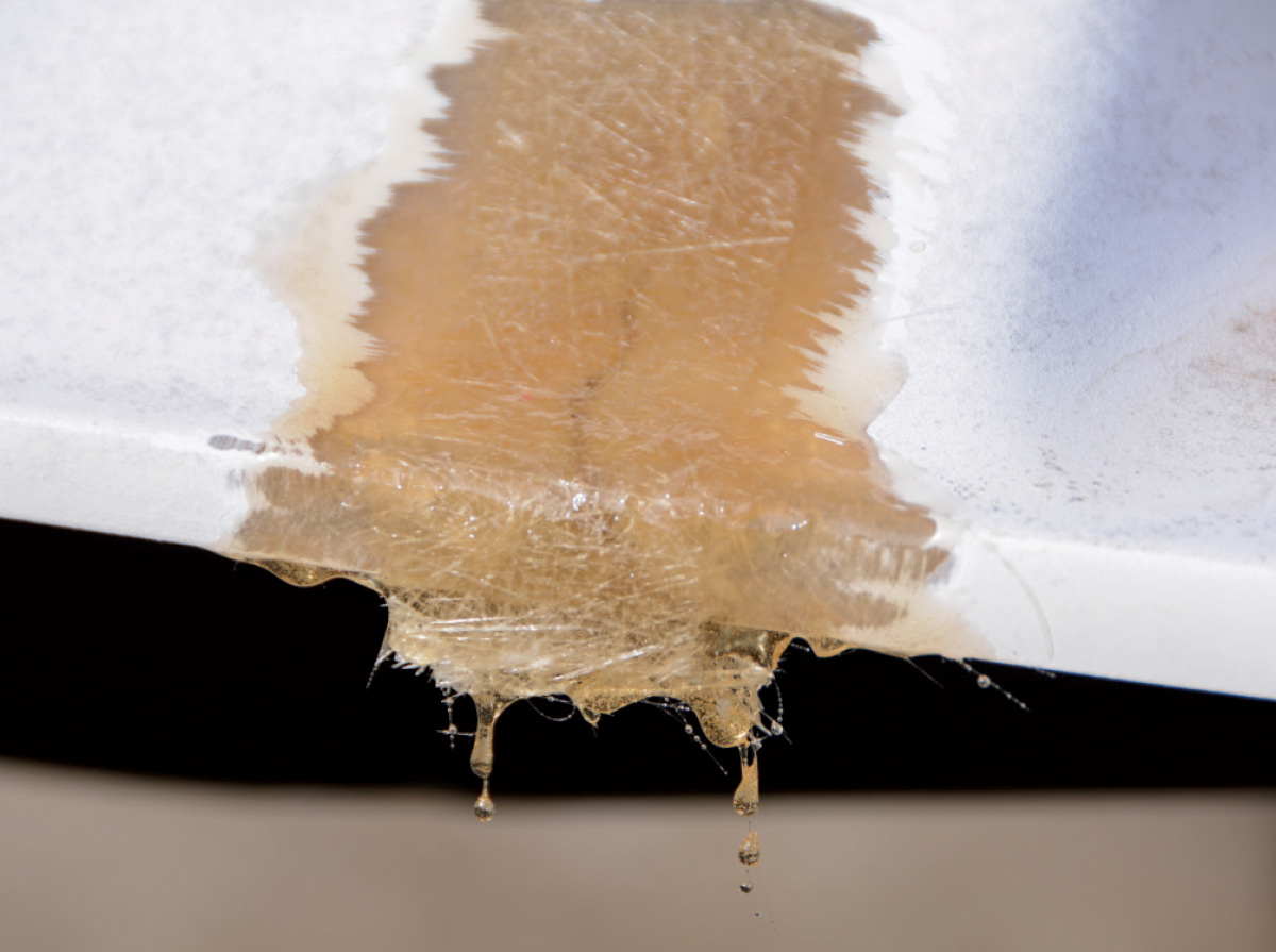 Resin-coated fiberglass drips slightly as it cures on the repair surface