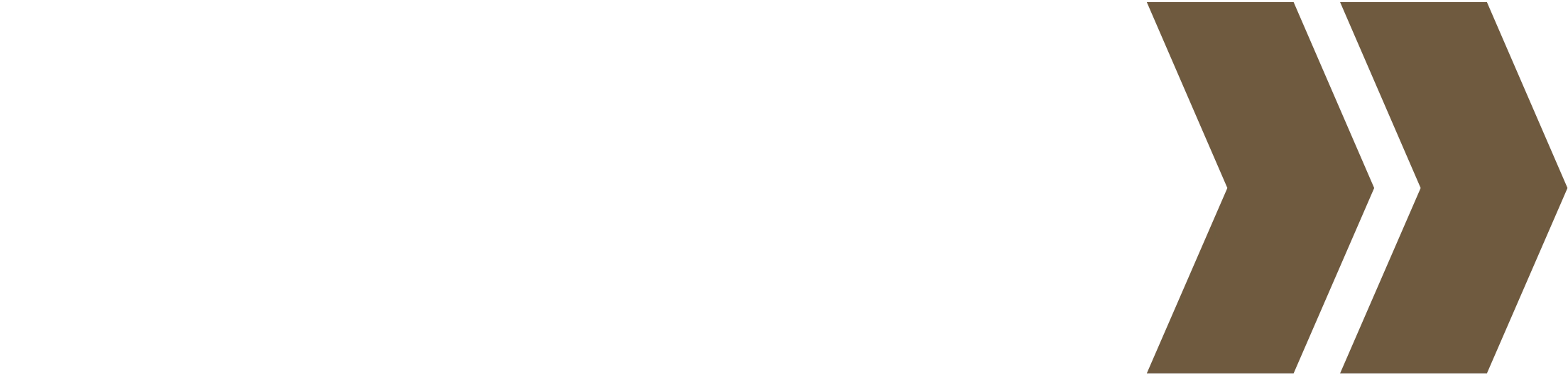 ACP-Arrows-WHITE- ACP White typography